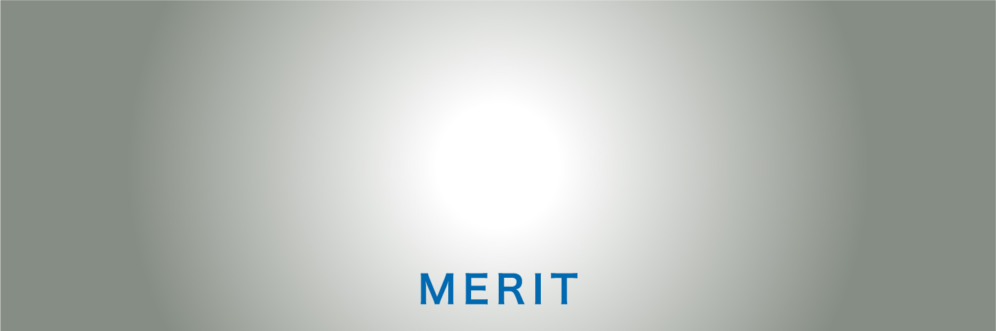 MERIT